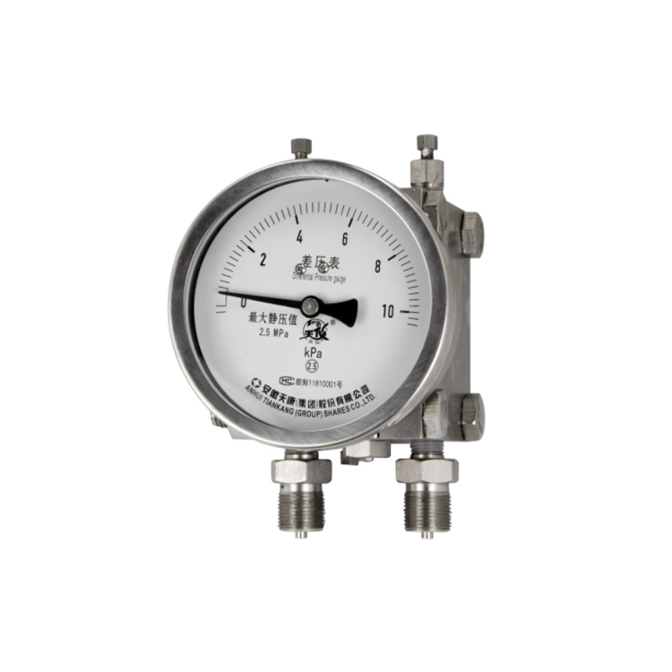 不銹鋼雙膜片高靜壓差壓力表